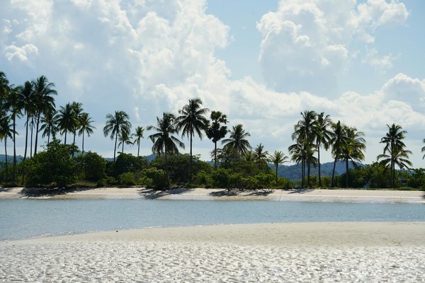 Découvrez les excursions en champagne en caterham